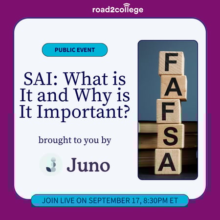 SAI What is It and Why is It Important (2)